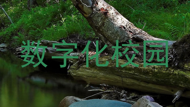 数字化校园