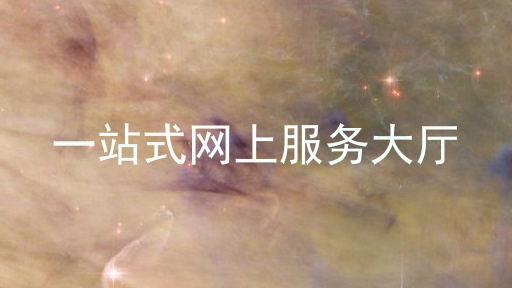 一站式网上服务大厅