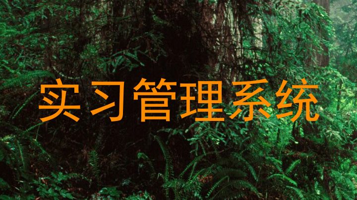 实习管理系统