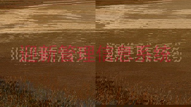 迎新管理信息系统