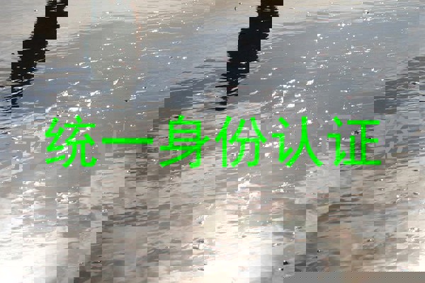 统一身份认证
