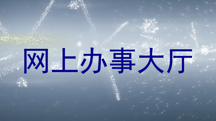 网上办事大厅