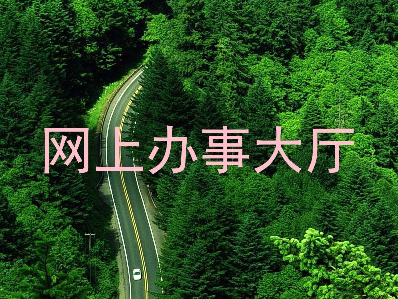 网上办事大厅