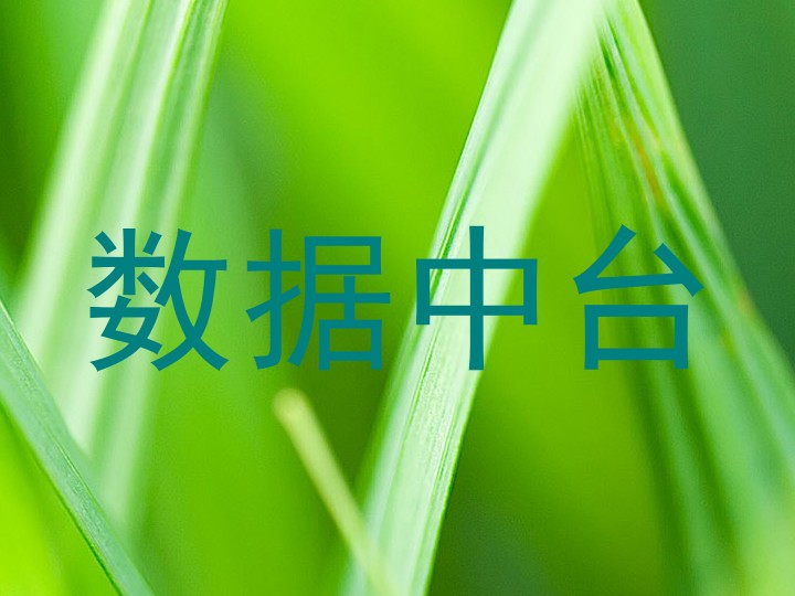 数据中台