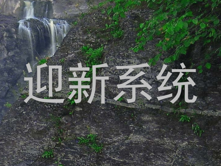 迎新系统
