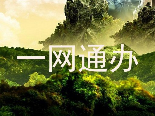 一网通办