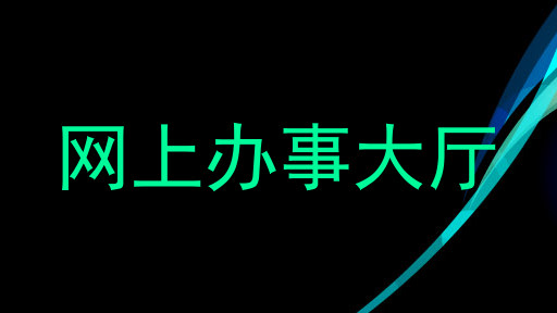 网上办事大厅