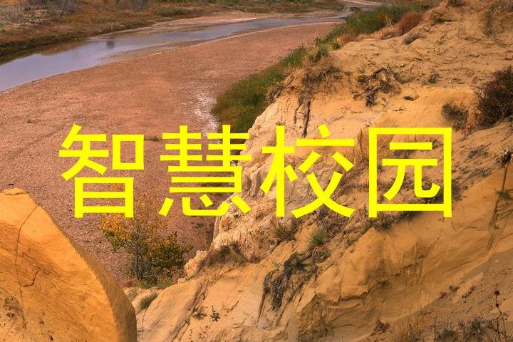 智慧校园
