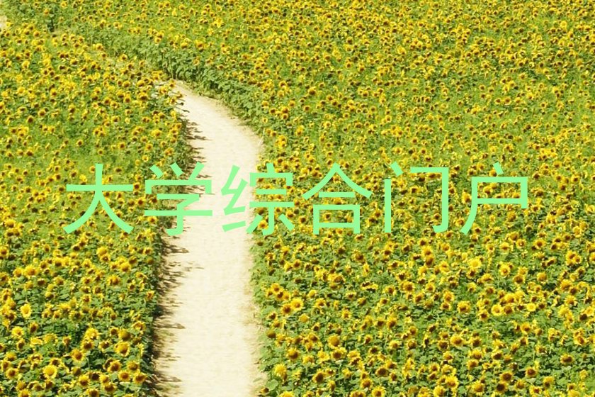 大学综合门户