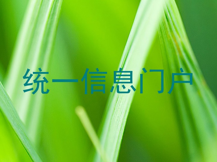 统一信息门户