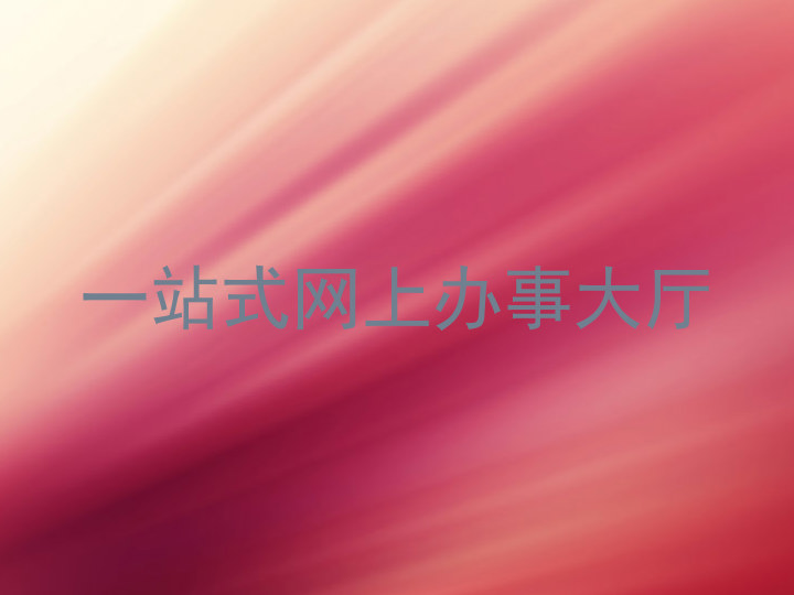 一站式网上办事大厅