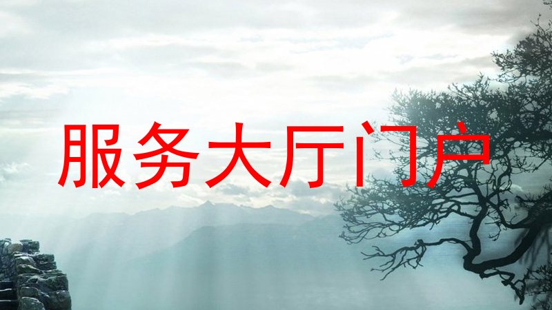 服务大厅门户