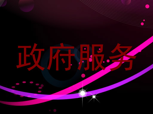 政府服务