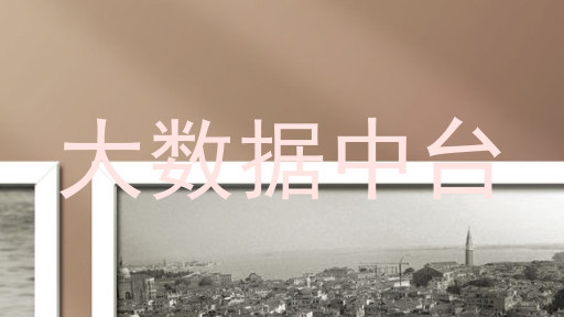 大数据中台