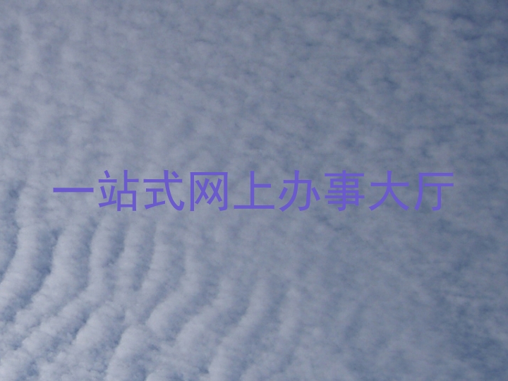 一站式网上办事大厅