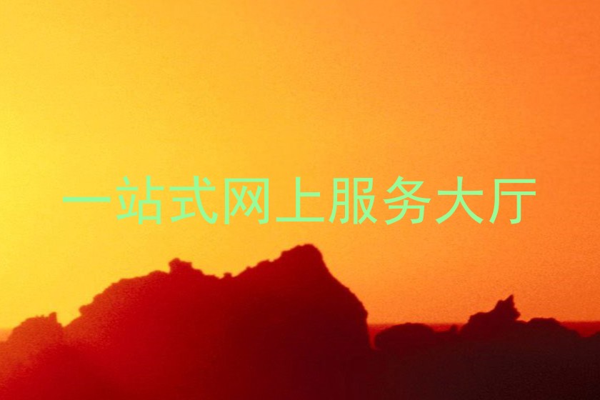 一站式网上服务大厅