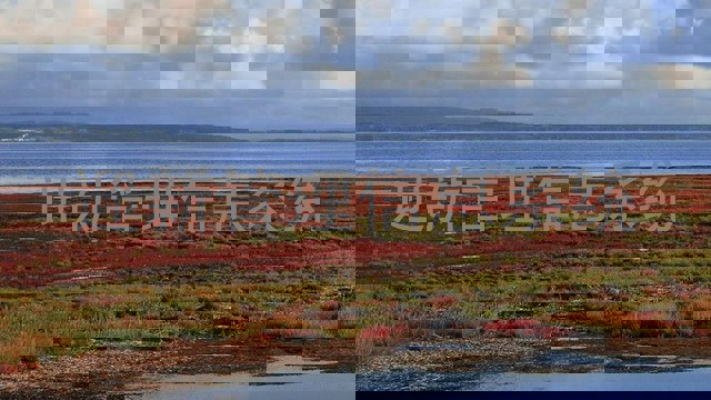 迎新管理信息系统