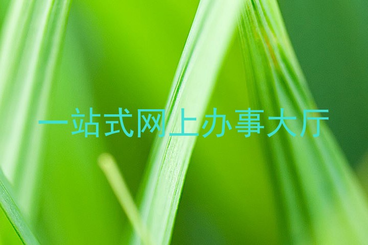一站式网上办事大厅