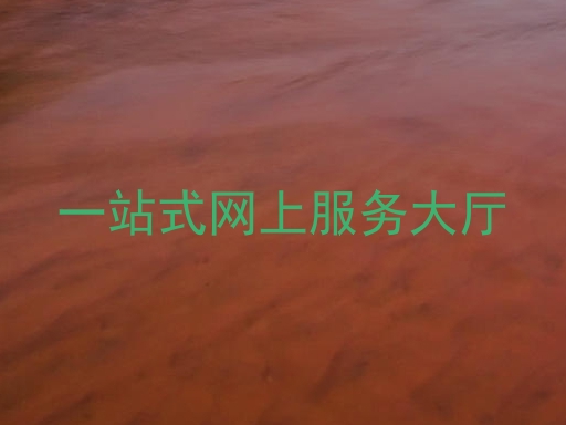 一站式网上服务大厅