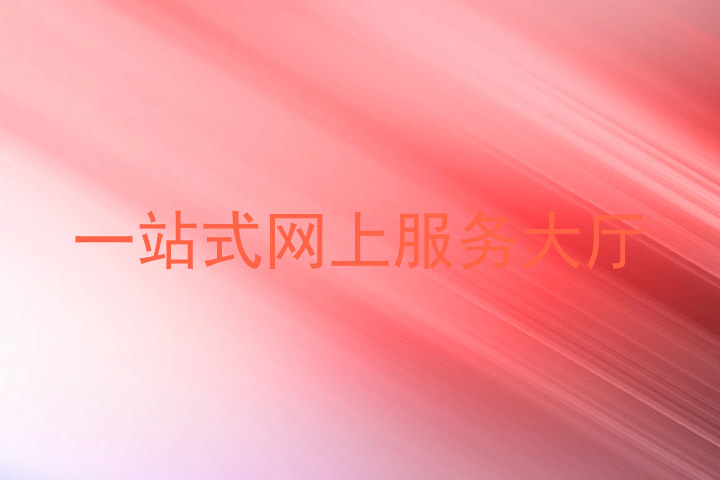 一站式网上服务大厅