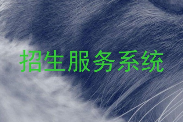招生服务系统
