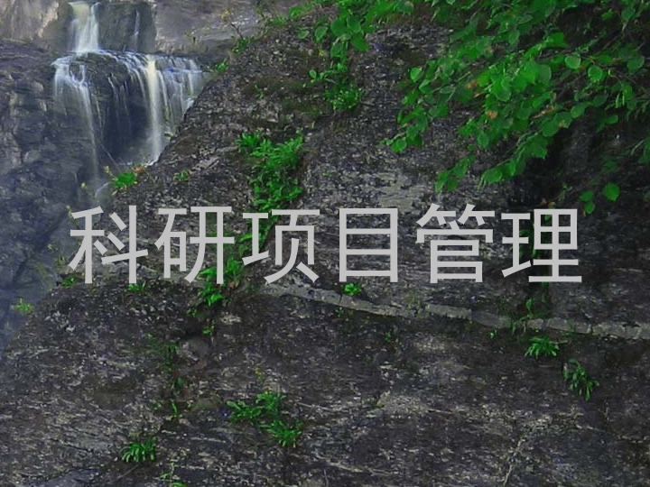 科研项目管理
