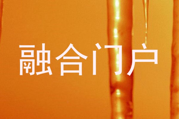 融合门户