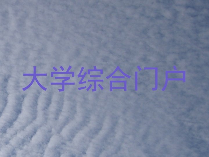 大学综合门户