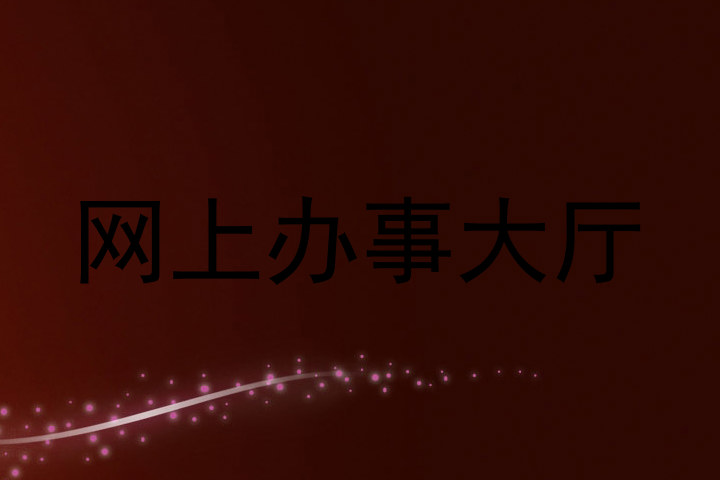 网上办事大厅