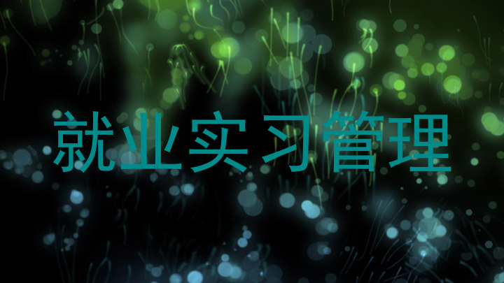 就业实习管理