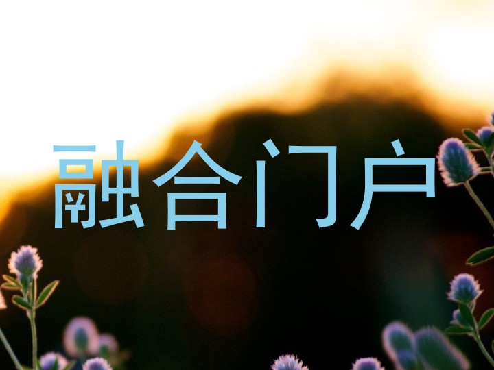 融合门户