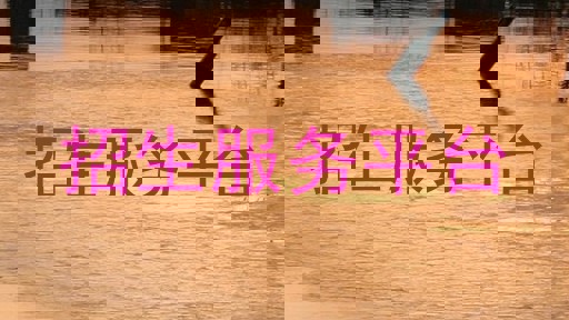 招生服务平台