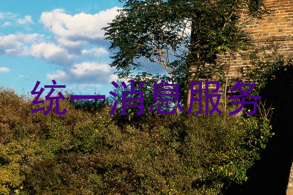 统一消息服务