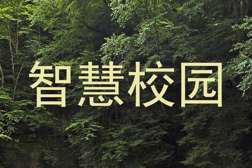 智慧校园