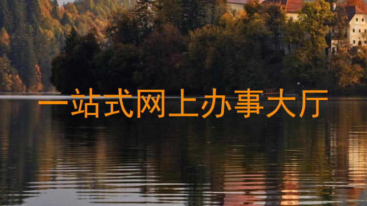 一站式网上办事大厅