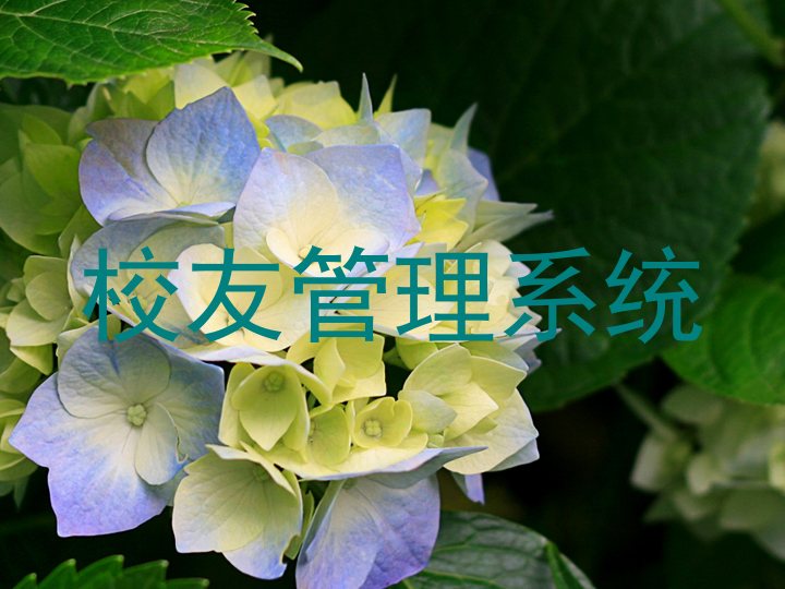 校友管理系统