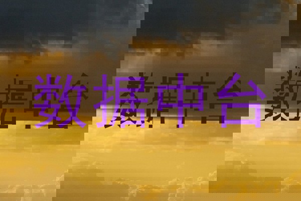 数据中台