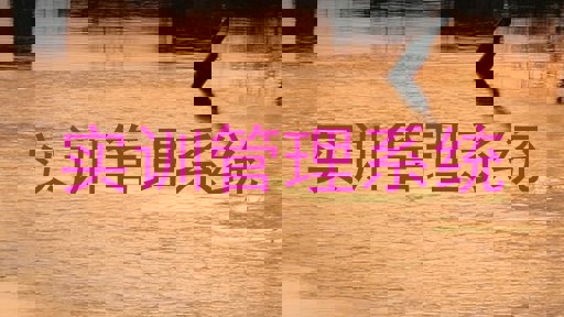 实训管理系统