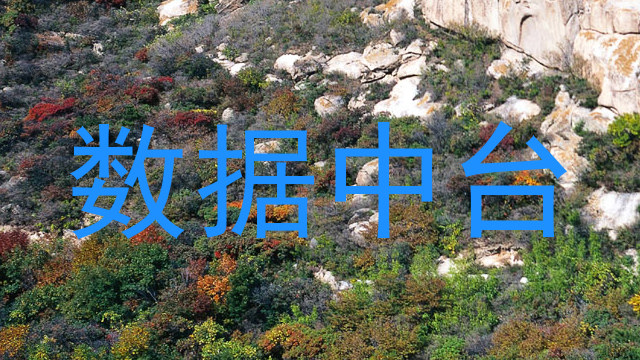 数据中台