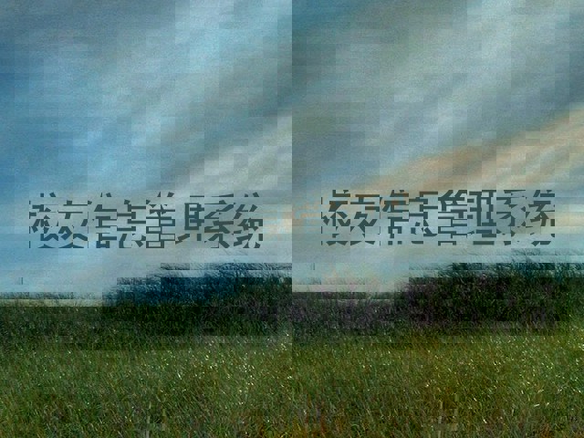校友信息管理系统