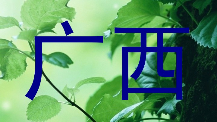 广西