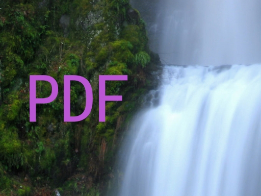 PDF