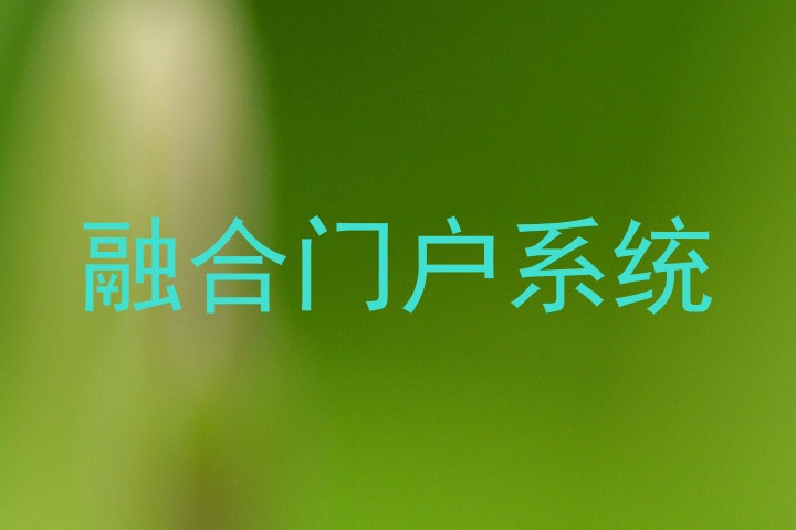 融合门户系统
