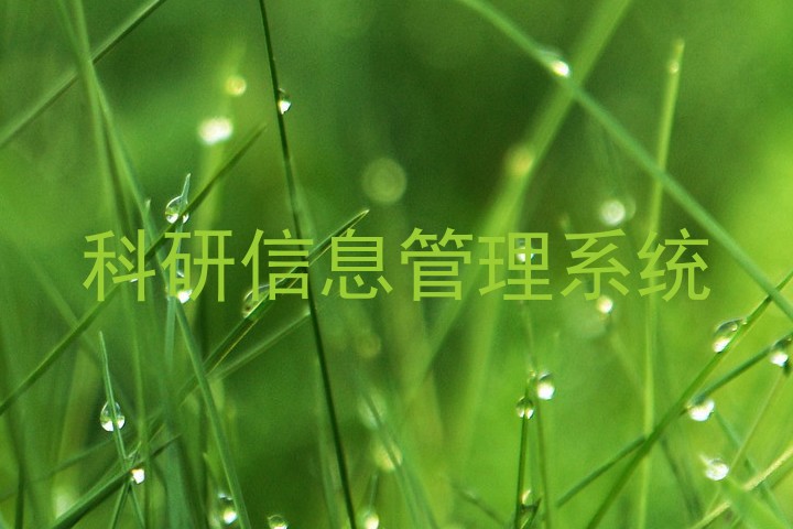 科研信息管理系统