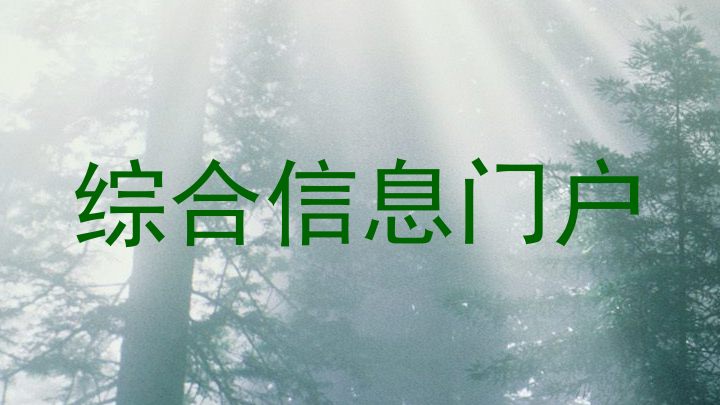 综合信息门户