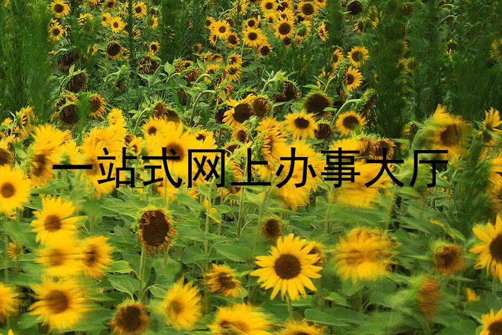 一站式网上办事大厅