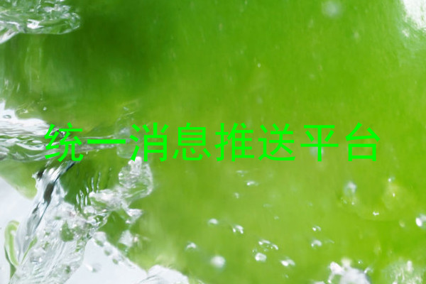 统一消息推送平台