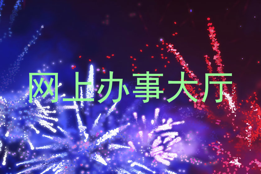 网上办事大厅