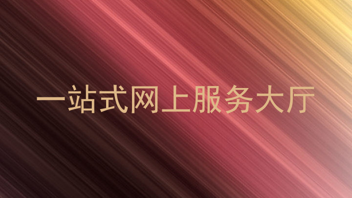一站式网上服务大厅