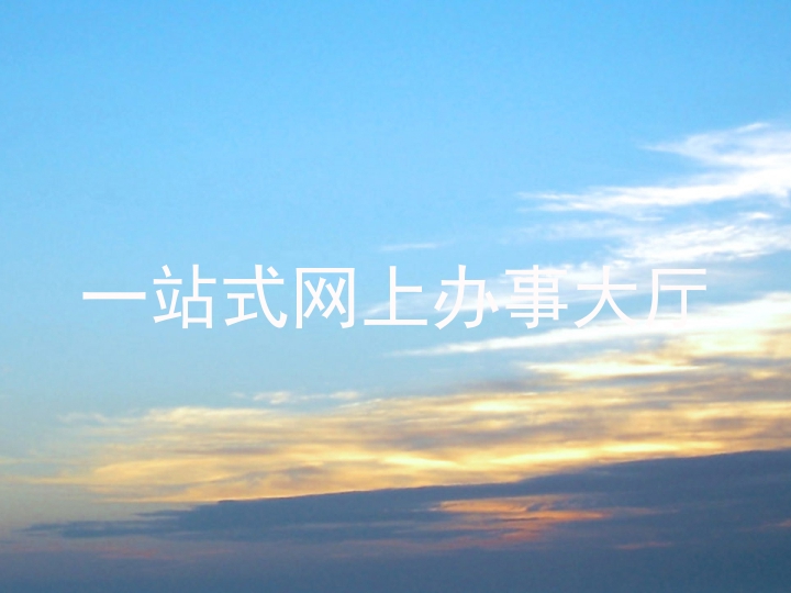 一站式网上办事大厅